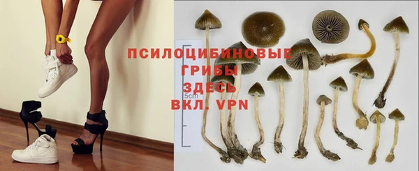 МДПВ Киреевск