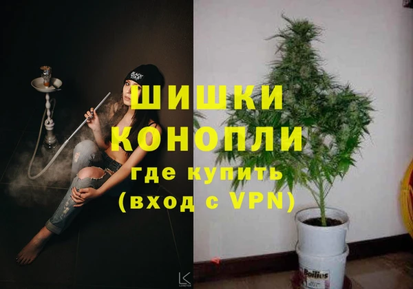 СК Каменск-Шахтинский