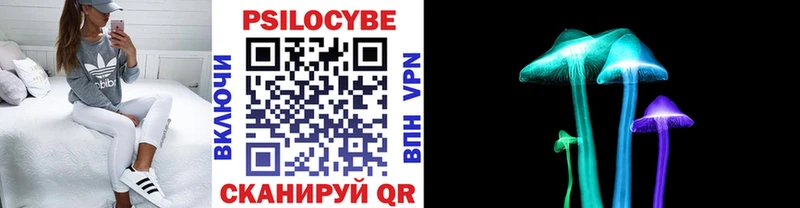 где купить наркотик Михайловка ОМГ ОМГ как войти Галлюциногенные грибы ЛСД